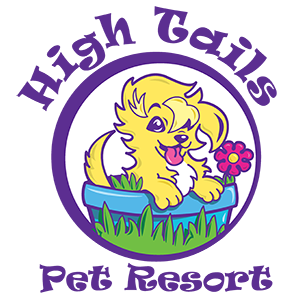 High Tails Pet Resort